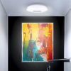 Obrazek Plafon Opera Led C 24w 4000k 03635 Pl