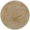 Obrazek Dywan Timmy F 0,8/0,8 t-fc3 beige