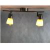 Obrazek Spot Soma CH 1773654 LS2