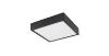 Obrazek Plafon 12369-15 LED 15W 14.5X14.5 Czarny PL1