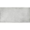 Obrazek Gres Alloy Pearl 60/120
