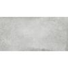 Obrazek Gres Alloy Pearl 60/120