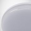 Obrazek Plafon Major LED C 18W white 4000K 03742P
