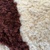 Obrazek Dywan Shaggy Sonic 1.6/2.3 Psr-9219 ivory/brown