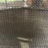 Obrazek Trampolina Comfort z drabinką 244cm zielona