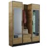 Obrazek Garderoba Roj Plus 12 craft 