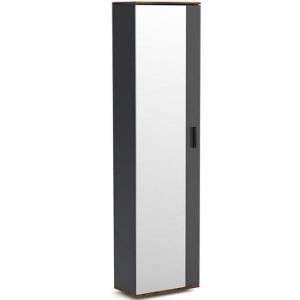 Szafa Z Lustrem Justus 06 Anthracite/ Old Style