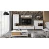 Obrazek Witryna Brio K2S pacific walnut/crystal white