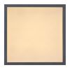 Obrazek Plafon 416080D1 LED 12W 30X30 PL1