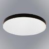 Obrazek Plafon Sierra Black EK77850 10W SK PL1