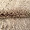 Obrazek Dywan Cosy 0,6/0,9 COS 500 Brązowy