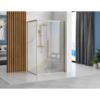 Obrazek Kabina prysznicowa Solar Gold 100x80