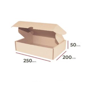 Karton Fasonowy 250mm x 200mm x 50mm