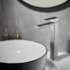 Obrazek Bateria umywalkowa wysoka Remi X inox