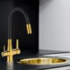 Obrazek Bateria zlewozmywakowa Trend gold z filtrem 