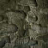 Obrazek  Dywan Lima Rabbit Fur 1,2/1,6 MRD-642 zielony N 1 