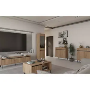 Obrazek Szafka RTV Osaka 312 2S dąb evoke