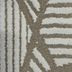 Obrazek Dywan Frisee Anemon 0,8/1,5 T051A HDU 66 kremowy