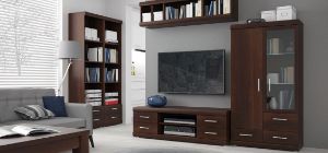 Obrazek Szafka RTV Imperial z szufladami 4S TYP 51
