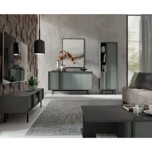 Obrazek Szafa Alsy 1 Aloes/Antracyt