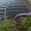 Obrazek Zestaw ssawno-tłoczny Aquatic Plus 4 m czarny