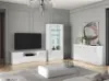 Obrazek Witryna Glamour 01 biały Połysk