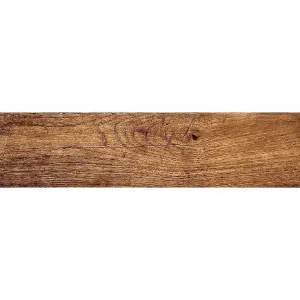 Obrazek Terakota Foresta Bronzo 15,5/60,5