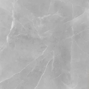 Obrazek Gres Ambrosio Gris 59,7/59,7