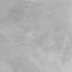 Obrazek Gres Ambrosio Gris 59,7/59,7