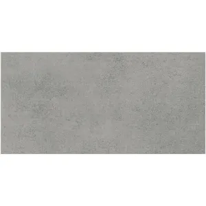 Obrazek Gres Fog Grey 29,7/59,8