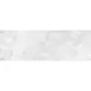 Obrazek Glazura Coco Blanco 20/60