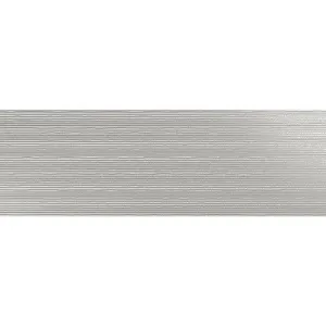 Obrazek Dekor Silextile Gris 25/75