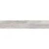 Obrazek Gres Discover gris mat 19,5/119,5
