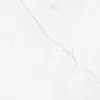Obrazek Gres Vernaza Blanco 80/80
