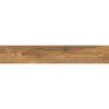 Obrazek Płytka gresowa GPT 1002 BEIGE 19,8/119,8