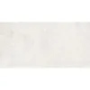 Obrazek Amazonia Beige Str. 59,8/119,8