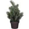 Obrazek Choinka zielona oszroniona wys. 24 x gł. 12 cm 1121020