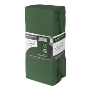 Obrazek Prześcieradło jersey z gumką 200x220 zielony