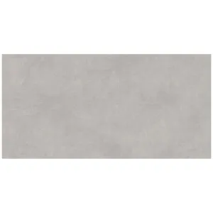 Obrazek Toronto Grey Matt 60/120 Rect. Pei 4