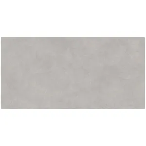 Obrazek Toronto Grey Matt 60/120 Rect. Pei 4