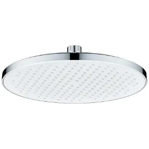 Obrazek Deszczownica Tipo 2 25 cm