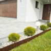 Obrazek Palisada PA80 (zestaw 5 sztuk) Stella Green brąz