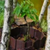 Obrazek Palisada PA80 (zestaw 5 sztuk) Stella Green brąz