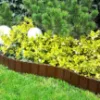 Obrazek Palisada PA80 (zestaw 5 sztuk) Stella Green brąz