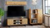 Obrazek Szafka RTV 135 cm loft dąb craft złoty
