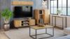 Obrazek Szafka RTV 155 cm loft dąb craft złoty
