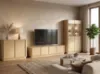 Obrazek Szafka Rtv Ringo Rtv4d Baltic Dune